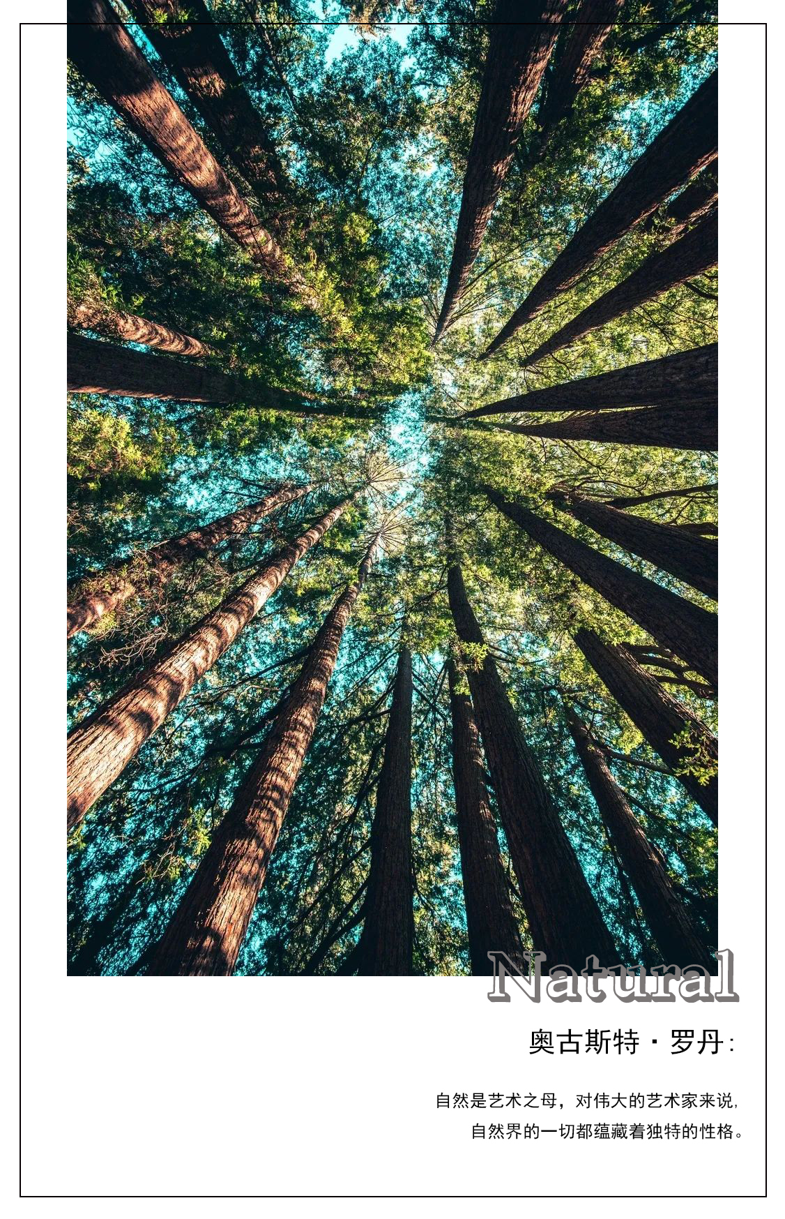 1589690544355884.jpg 2.jpg