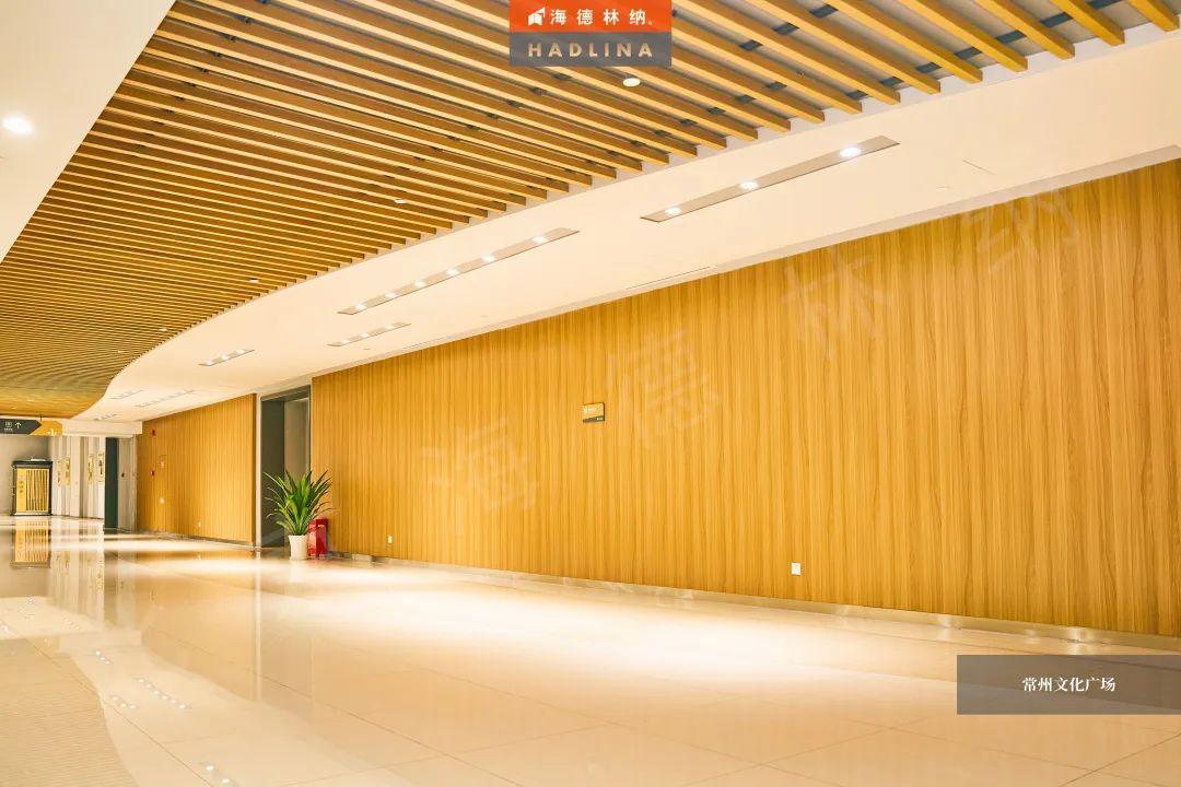 1666519714229089.jpg 1666519299526.jpg